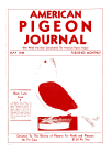 Magazine Cover